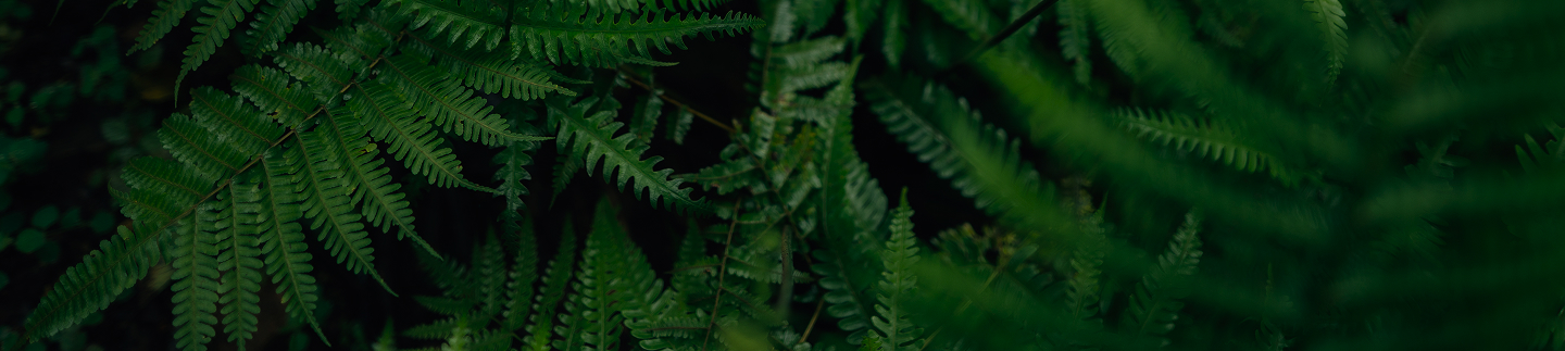 Unsere Motivation: Natur bewahren, Menschen befähigen und zeigen, 
dass nachhaltiges Handeln Freude macht und echte Wirkung erzielt.