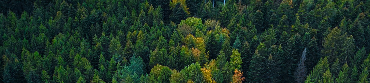 Wir bauen Partnerschaften und Projekte in Deutschland, Europa und weltweit auf, um Natur zu schützen und Menschen zu helfen.