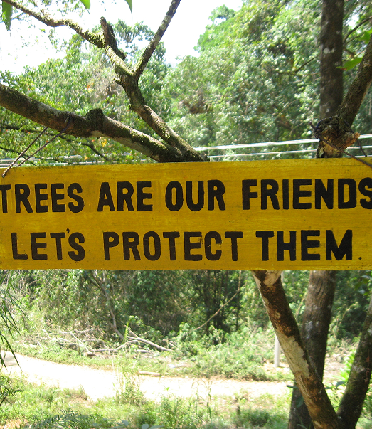 Partnerschaften, Forschung  und Hands-on-Arbeit