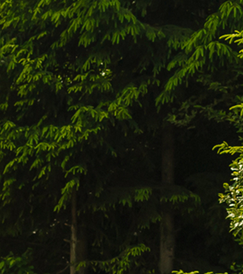 Wir arbeiten effizient und transparent mit Wirkung