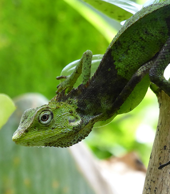 Monitoring-System für CO₂ und Biodiversität wird etabliert