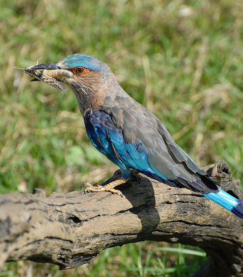 Aufbau praxisorientierter Umweltbildungs-angebote