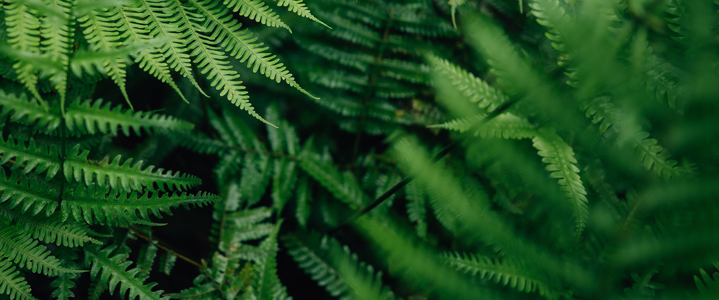 Entdecke unsere aktuellen Projekte, die du unterstützen kannst.