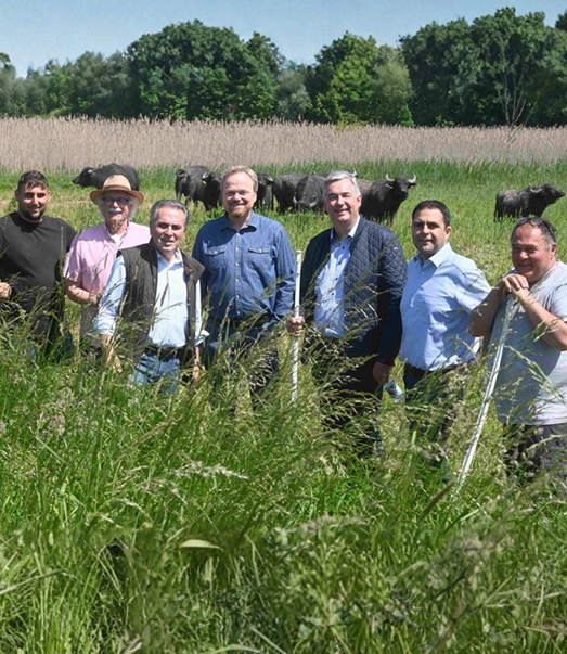 Beweidung als Lösungsweg