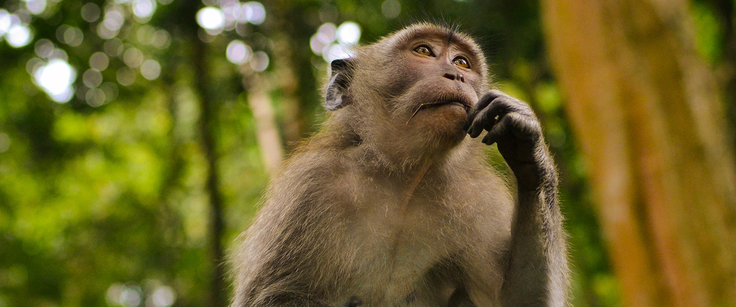 Worüber denkst du  noch nach?