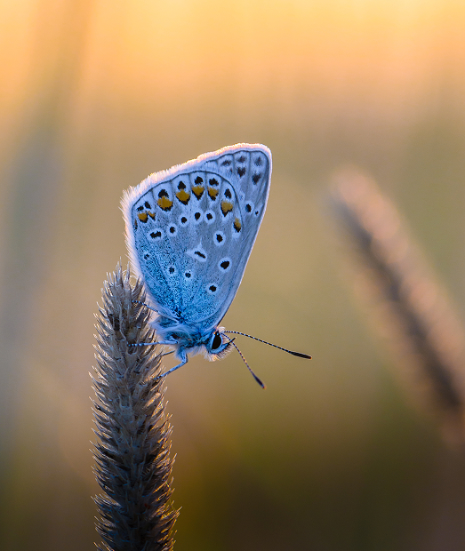 Weil Verantwortung heute sichtbar sein muss – und Freude machen darf.