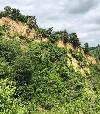 100.000 Quadratmeter  Natur bewahrt