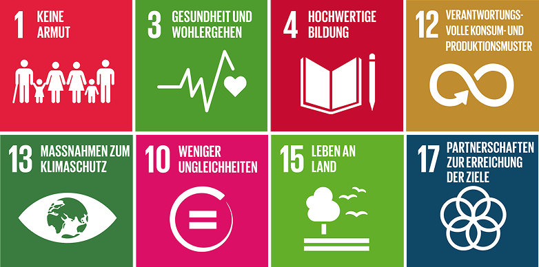 Unsere Projekte zahlen auf folgende Nachhaltigkeitsziele  der Vereinten Nationen (SDGs) ein: