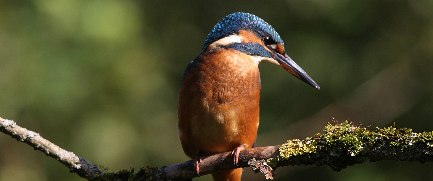 Hier passiert die  echte Arbeit.