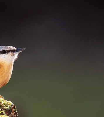 Wir verbinden Naturschutz mit Freude