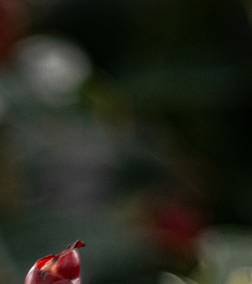 Wir garantieren Transparenz und Effizienz.